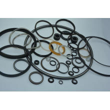 Engineering Critical Parts Spring Energized Seals for Sealing Control